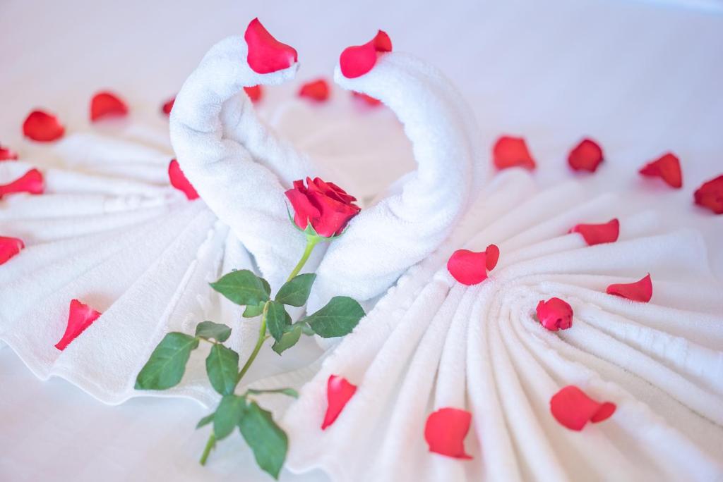 Phòng Oscar Elegant 2 Giường Đơn