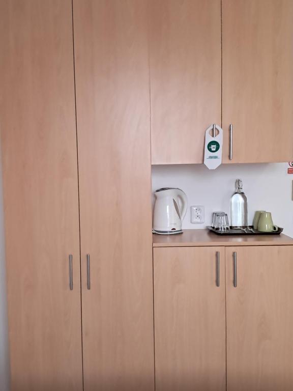Kuchyň nebo kuchyňský kout v ubytování Hotel Garni Rambousek