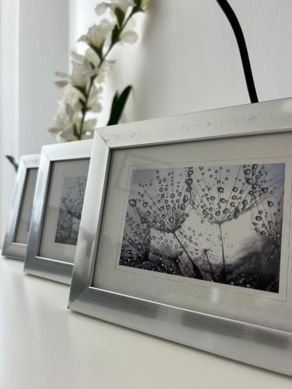 Fotografija u galeriji objekta Balaton1 Apartman u Siofoku