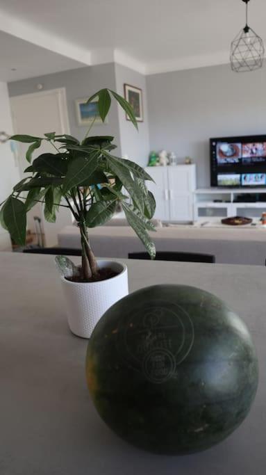 une plante posée sur un comptoir de cuisine à côté d'un vase dans l'établissement Antibes/Juan les pins, cosy apartment, à Antibes