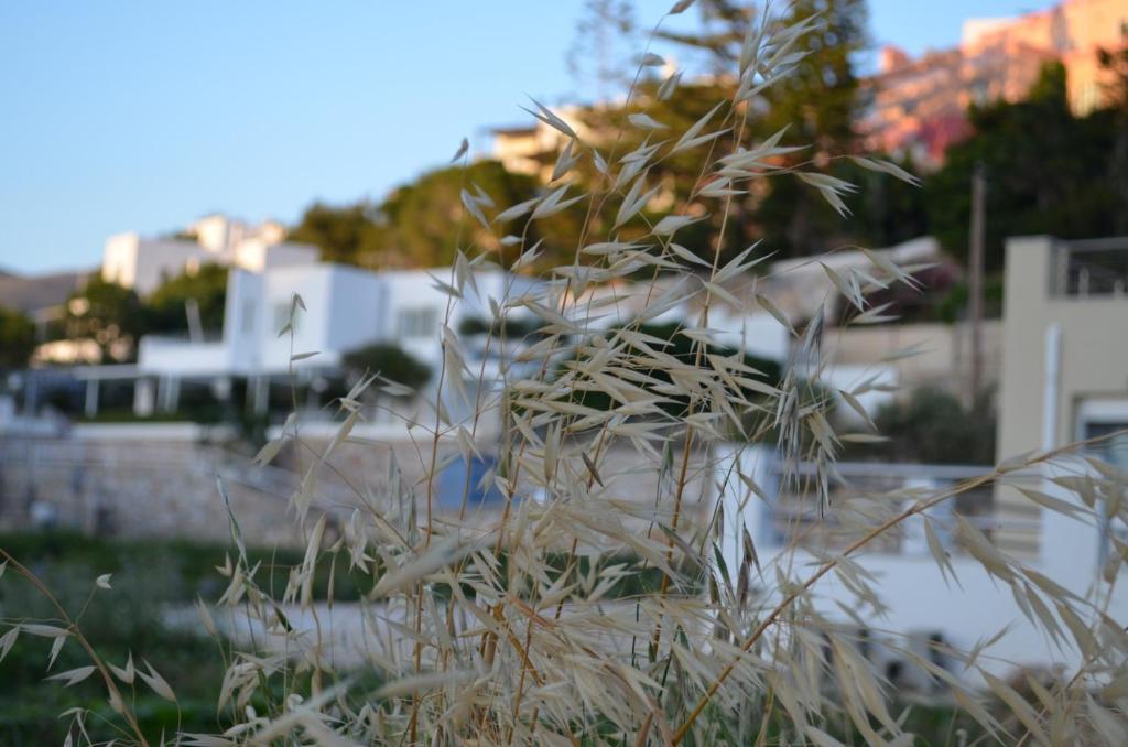 Fotografie z fotogalerie ubytování White Lotus seaside apartment v destinaci Kinion