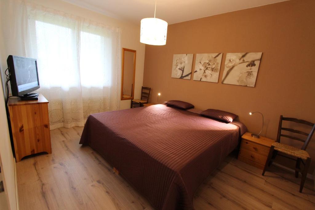 TV a/nebo společenská místnost v ubytování Le Castel 1