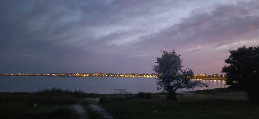 a tree sitting next to a lake at night at Charm Junior Rooms in Eforie Nord