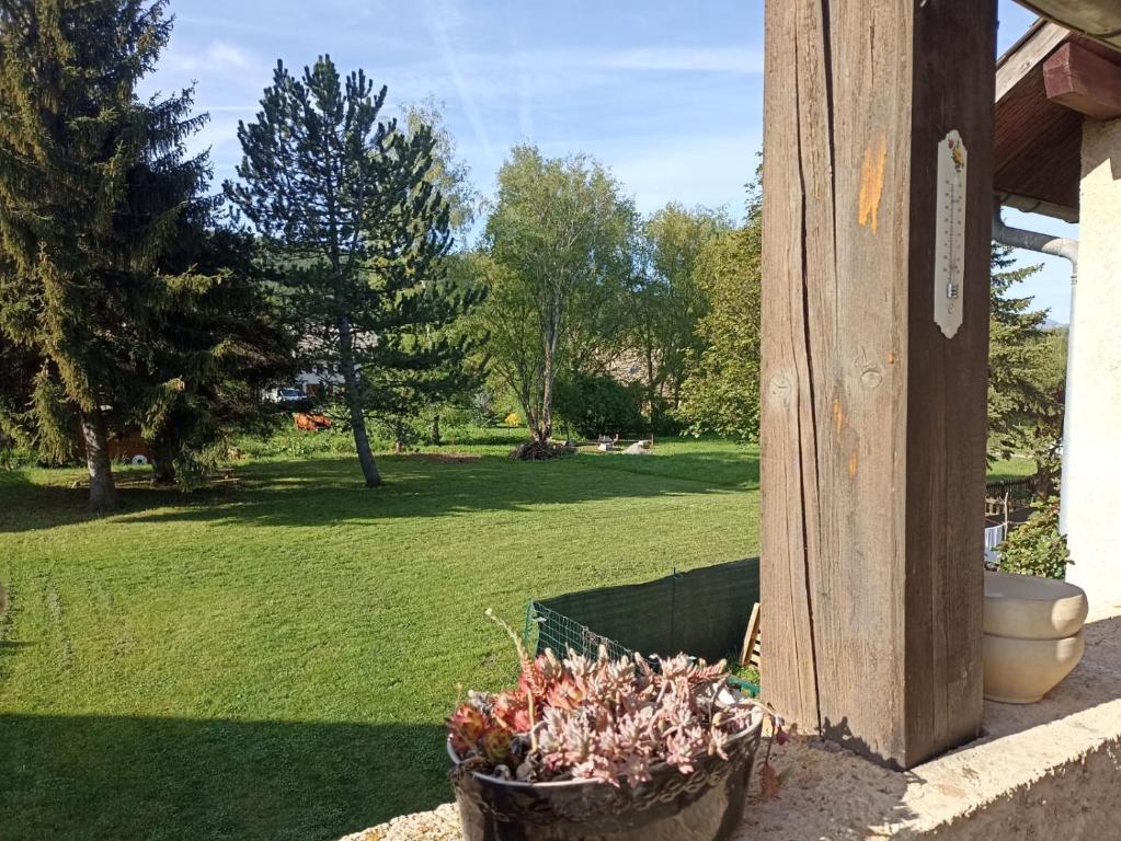 eine Topfpflanze auf der Veranda eines Hauses in der Unterkunft Les rives du Drac in Chabottes
