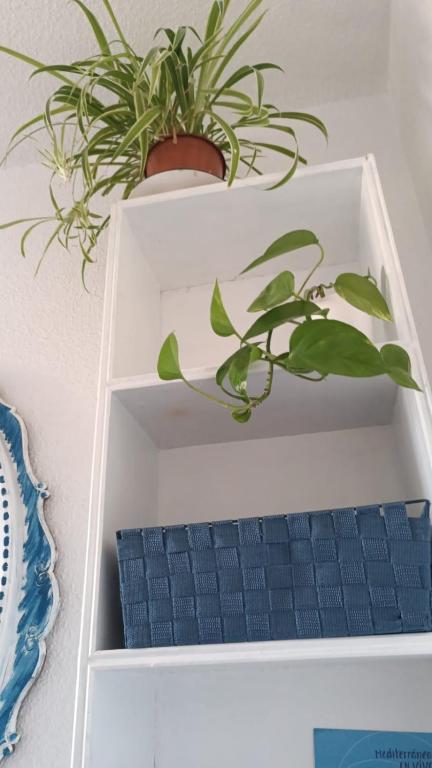 Fotografia z galérie ubytovania BLUE DOUBLE PRIVATE ROOM AT FRONT BEACH - HABITACION en la playa piso compartido v destinácii Valencia
