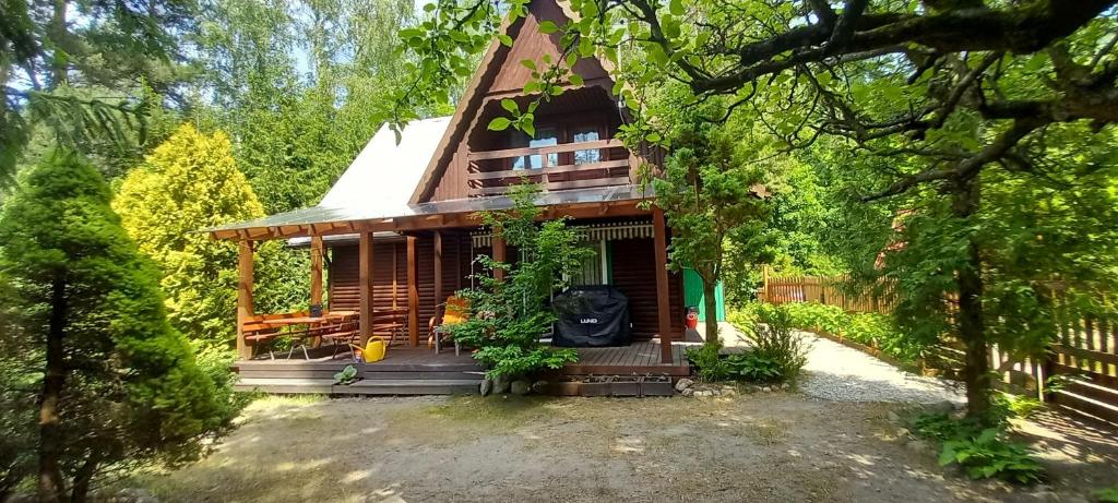a wooden cabin in the middle of a forest at Domek na Mazurach. in Dłużek