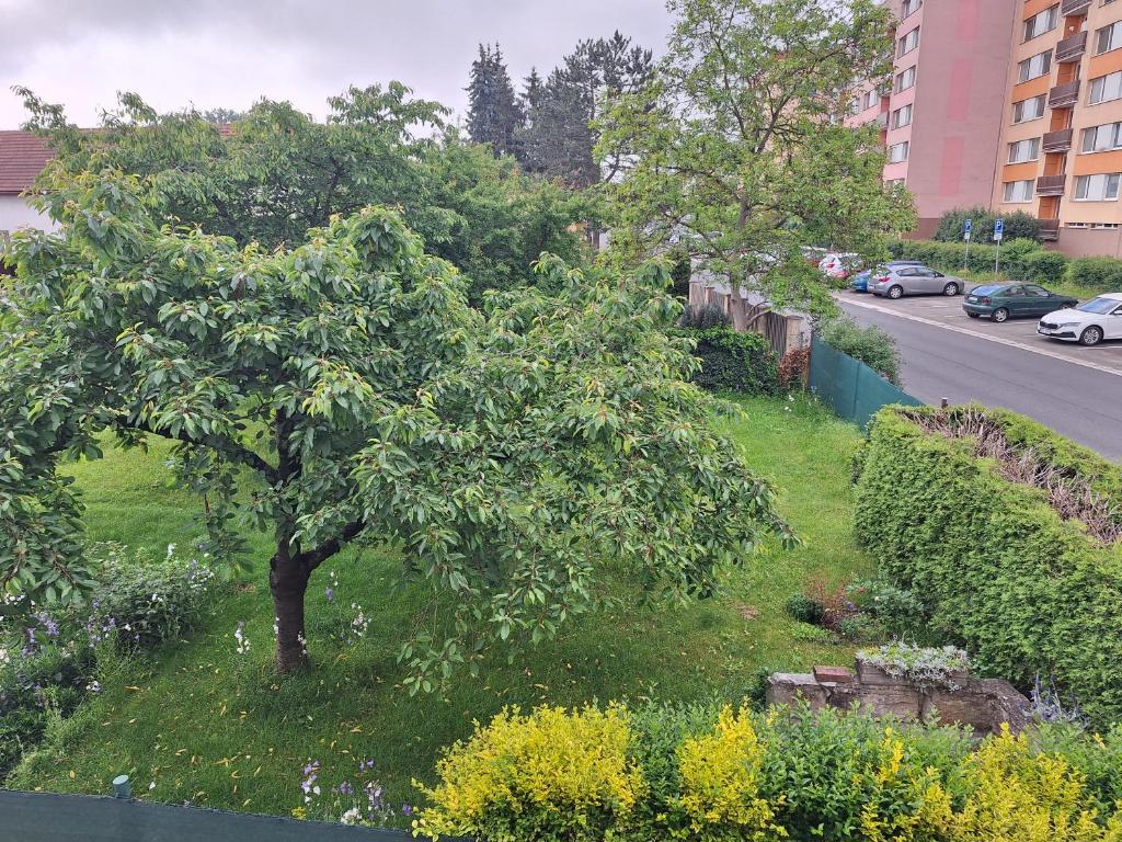 Apartmány U Stříbrných - 10