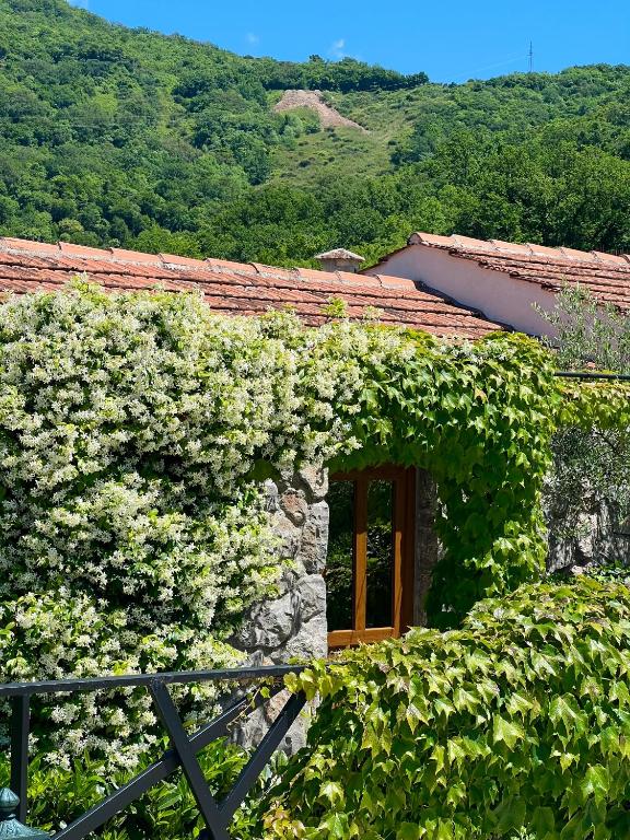 a building covered in green ivy with a wooden door at Hotel Opera Jaz in Budva