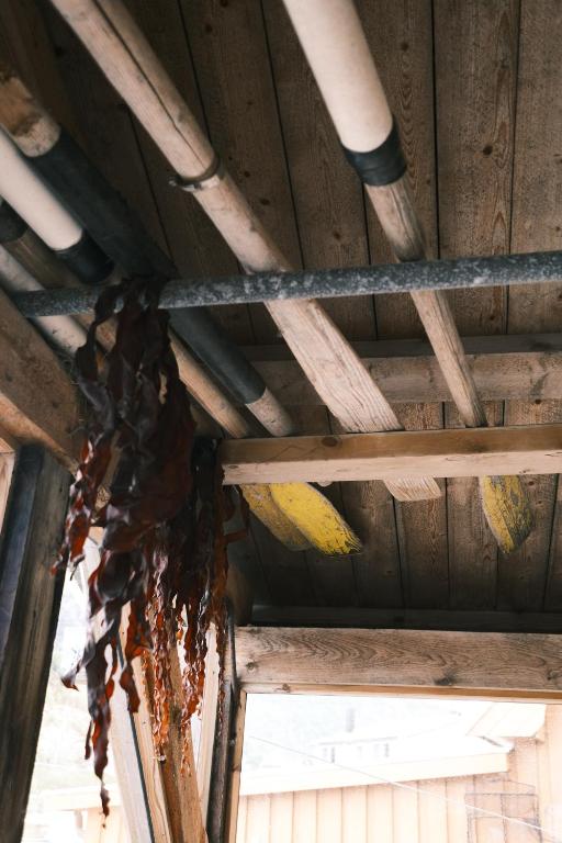 Fotografie z fotogalerie ubytování Stamsund Hostel v destinaci Stamsund
