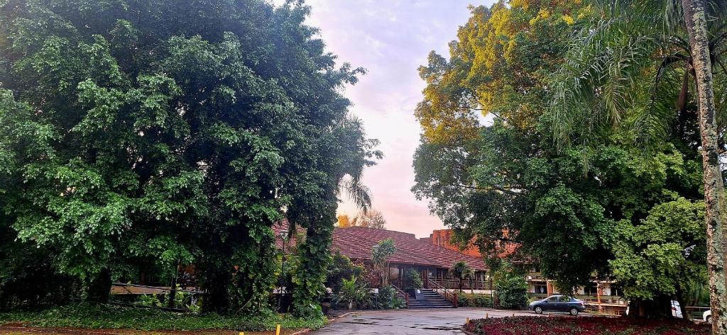 伊瓜蘇港的住宿－若愛查斯日歐諾酒店，房屋前的一群树木