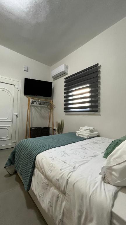 a bedroom with a bed and a television in it at Casa di Giovanna in Volos