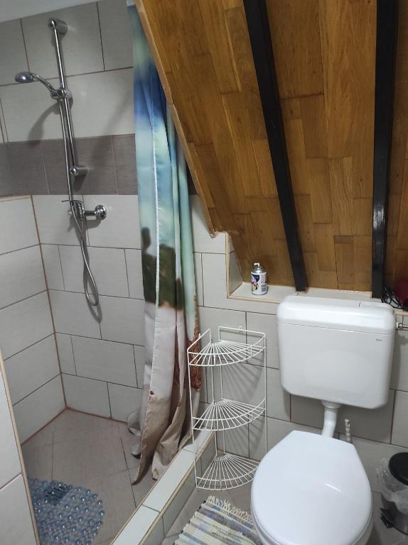 Kúpeľňa v ubytovaní Tavasz apartman