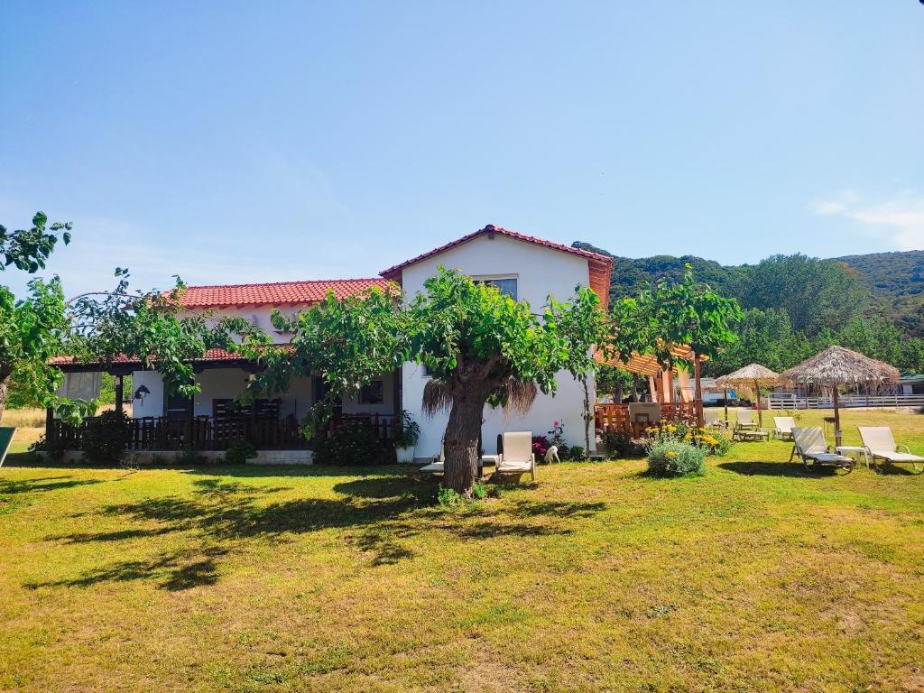 Φωτογραφία από το άλμπουμ του ACHILLEAS PEACEFUL PLACE σε Skála Sikiás