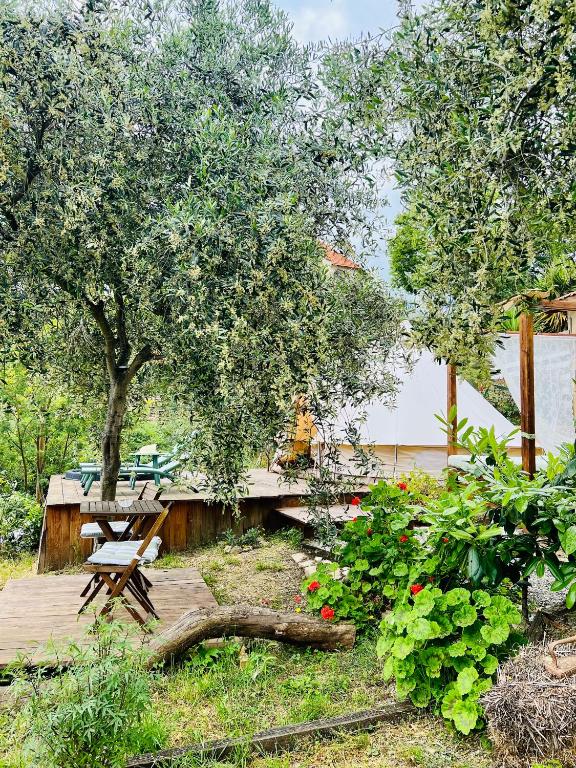 Zahrada ubytování Stecadó Glamping