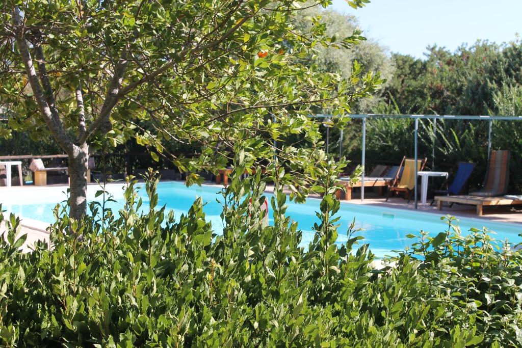 Bazén v ubytování Hotel Villa Campana nebo v jeho okolí