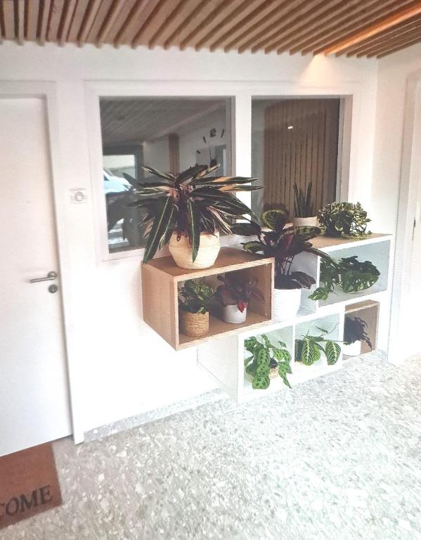 une pièce avec des plantes en pot sur des étagères à côté d'une porte dans l'établissement Moderne F3 - 10 min aeroport CDG - Paris - Parc Astérix - Disneyland Paris - Tour Eiffel - Champs Elysée - 15 min Parc des expositions Villepinte - 10 min Le Bourget - 5 min du Golf international de Roissy- JO 2024, à Le Thillay