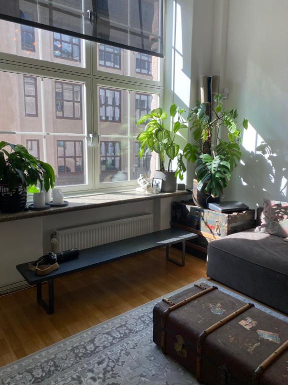a living room with a window with plants and a couch at Art Loft in downtown Oslo with Home Cinema in Oslo