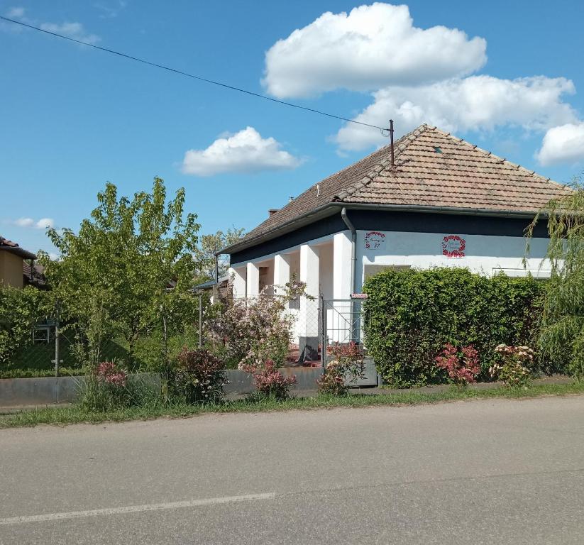 a house on the side of the road at Szelíd Tisza Vályog Vendégház Tiszafüred in Tiszafüred