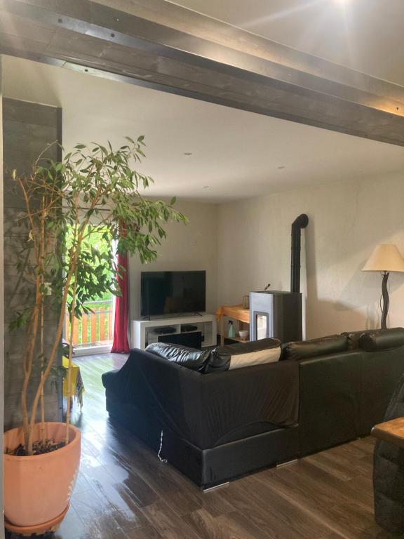un salon avec un canapé et une télévision dans l'établissement Spacieux T2, agréable et lumineux, à Villard-de-Lans