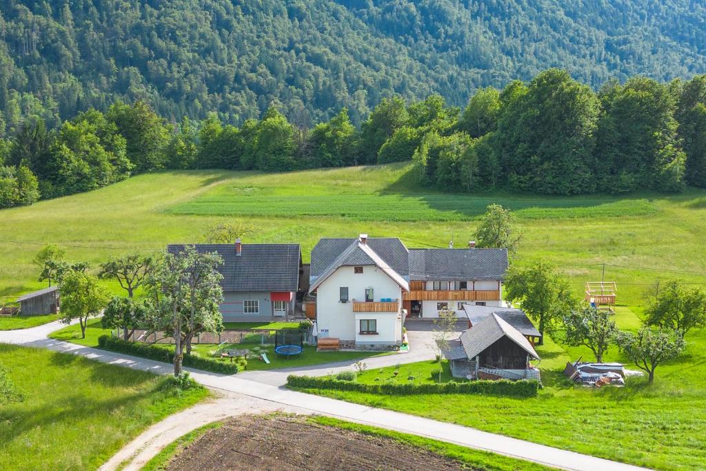 an aerial view of a house in a green field at Apartments Pr Fajfarju in Bled