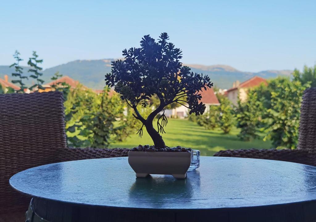 un bonsái sentado sobre una mesa en Cele's Garden, en Ohrid