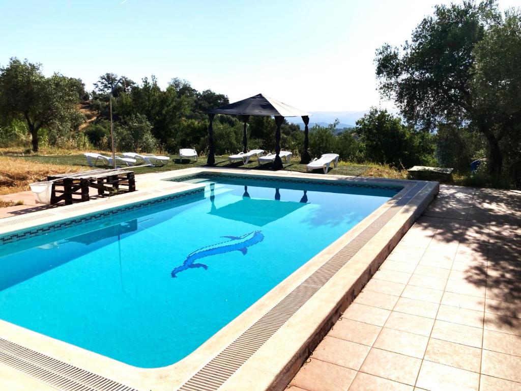 una piscina con un tiburón en el agua en Finca Villa Coral, en Cazalla de la Sierra