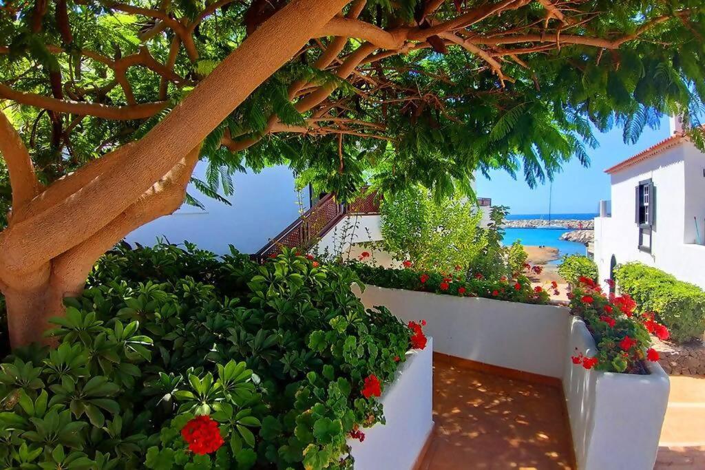 Fotografie z fotogalerie ubytování Appartamento fronte oceano in Amarilla Golf L483 v destinaci San Miguel de Abona