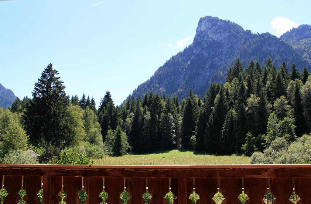 Blick auf einen Wald mit Bäumen und Bergen in der Unterkunft Ferienwohnung Oberammergau in Oberammergau