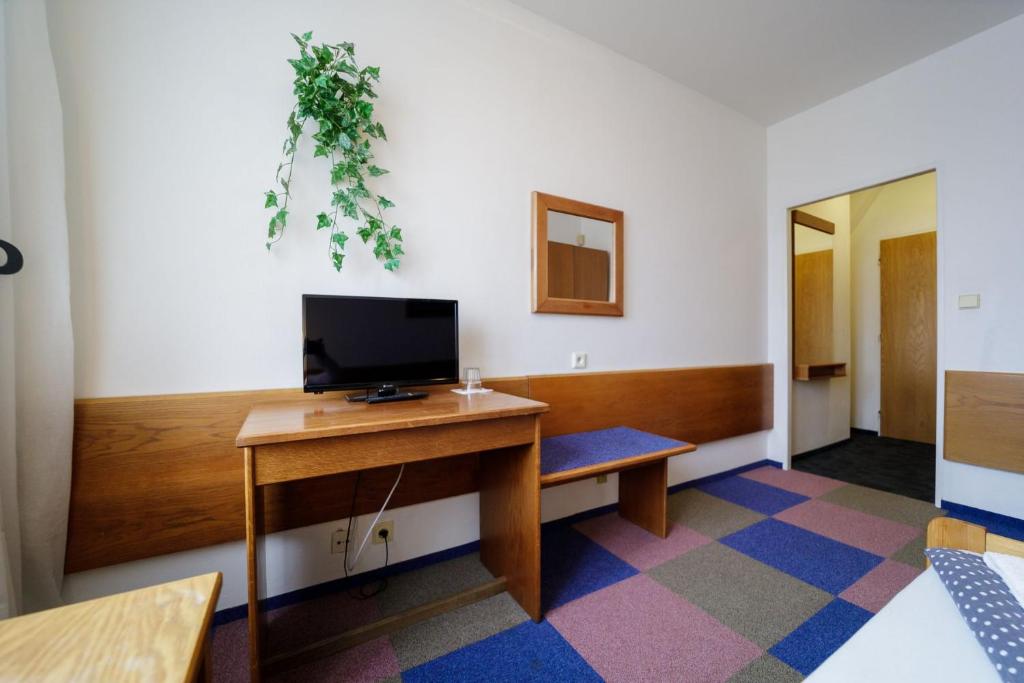 TV a/nebo společenská místnost v ubytování Hotel Peliny