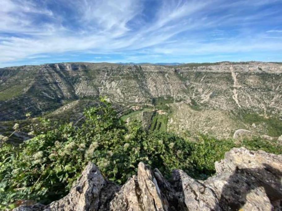 - une vue aérienne sur un canyon avec des arbres et des rochers dans l'établissement Maison de village au cœur des causses des Cévennes, à La Vacquerie-et-Saint-Martin-de-Castries