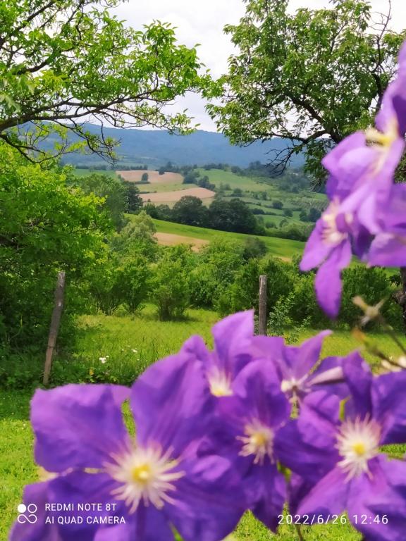 Gallery image of Kuća za odmor Zdravac in Kragujevac