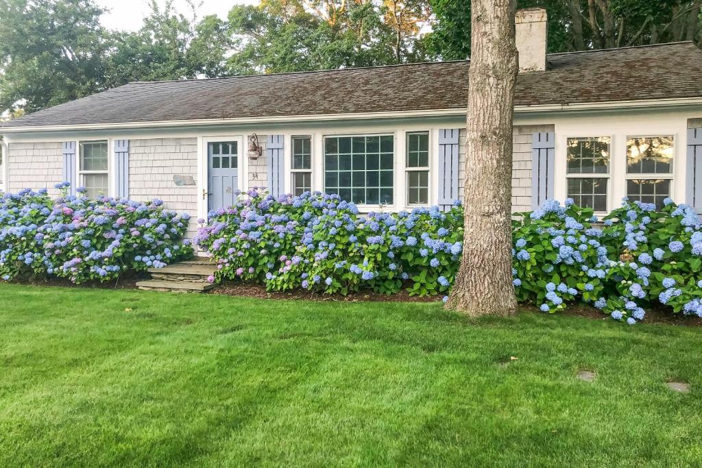 Una casa con flores moradas y azules en el patio. en Cape Getaway, en South Yarmouth