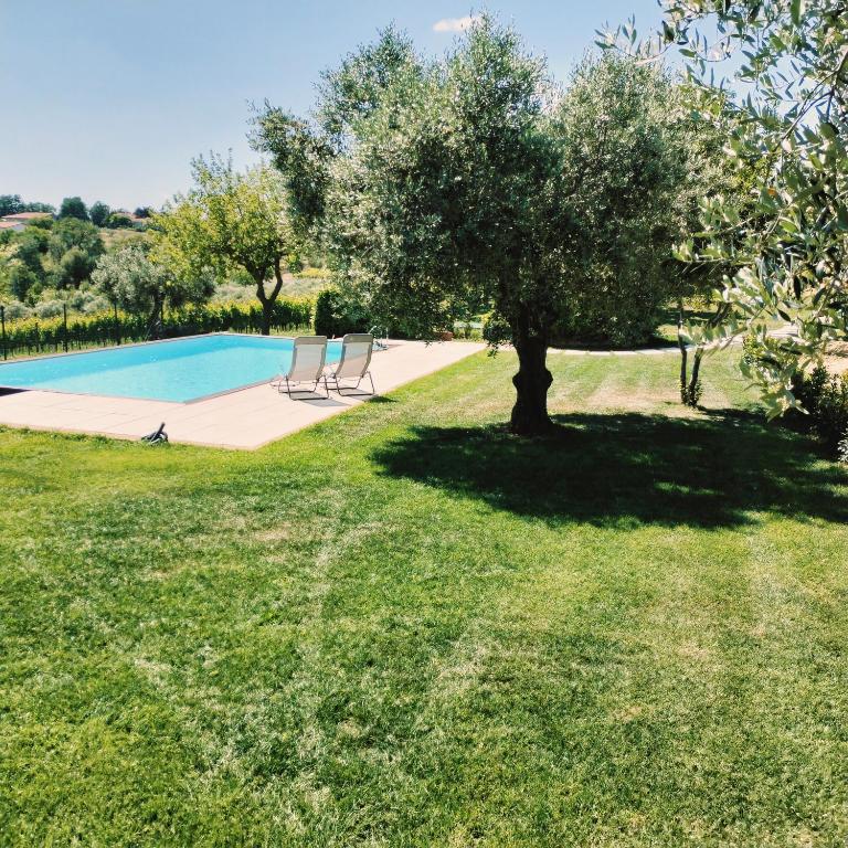 Angelucci Agriturismo con Camere e Agri Camping