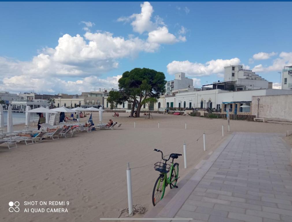 SUITE Chiara Cigno - Housity