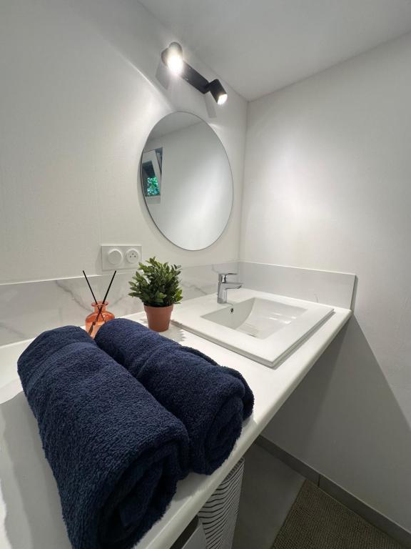 La salle de bains est pourvue d'un lavabo et de 2 serviettes bleues. dans l'établissement Appartement Citadelle 0, à Dunkerque