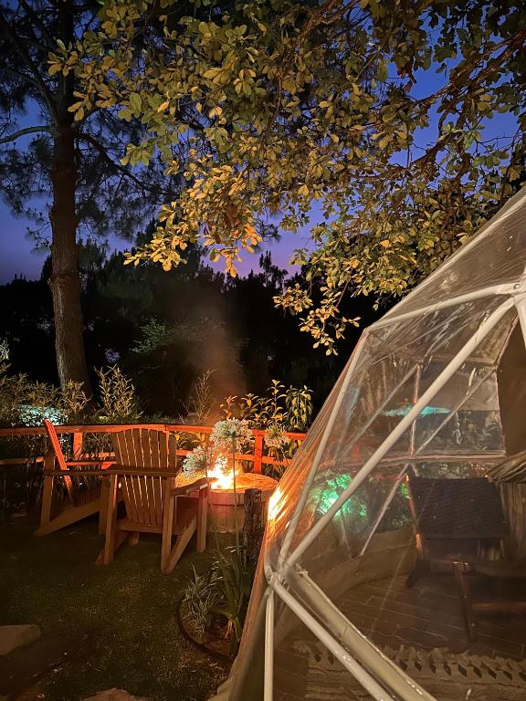 Zahrada ubytování Lunada Glamping