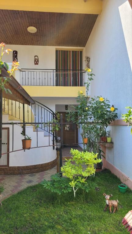 Zahrada ubytování Casa Luminița