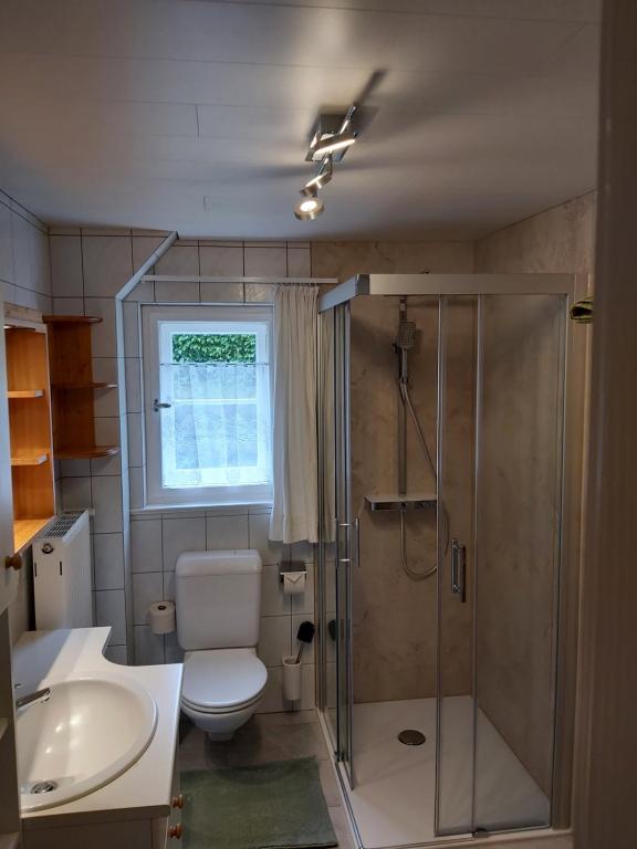 a bathroom with a shower and a toilet and a sink at Haus Klinger in Gaschurn