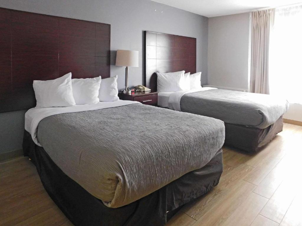 Postel nebo postele na pokoji v ubytování Quality Inn Colchester - Burlington