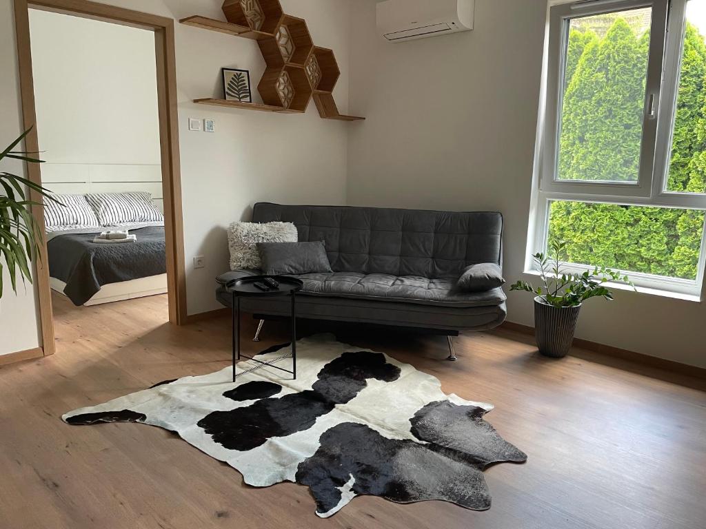 Hexagon Apartman Szeged 6722 Szeged, Kálvária sugárút 52 kép - 1