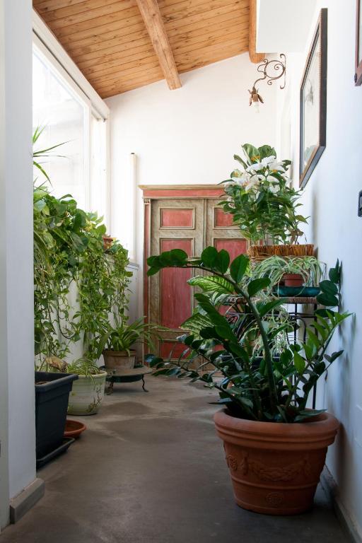 Palazzo Spagna - 