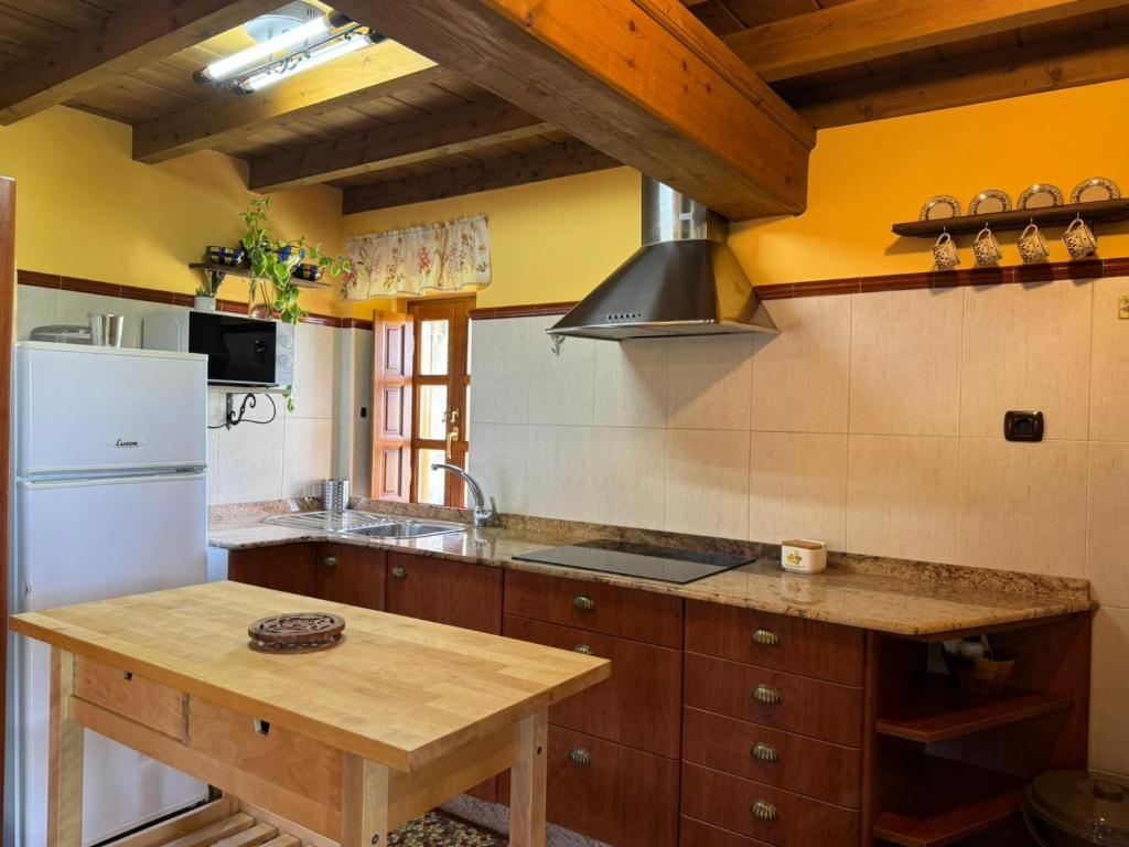 Η κουζίνα ή μικρή κουζίνα στο Casa Rural El Salvijo