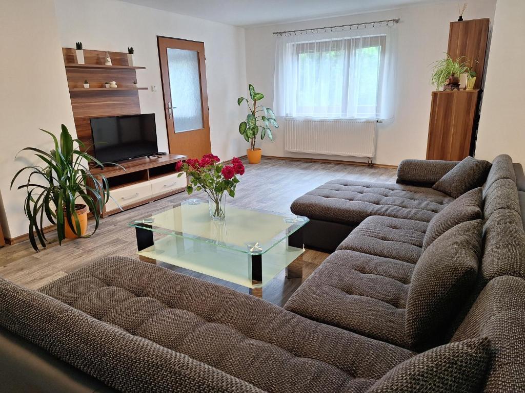 a living room with a couch and a coffee table at Apartmány Paseky - Jablonec nad Nisou in Jablonec nad Nisou