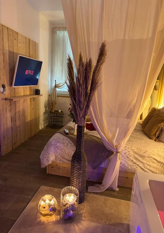 - une chambre avec un lit et un vase avec une plante dans l'établissement l'Idylle - Coeur de Bastide - balnéo - Clim, à Carcassonne