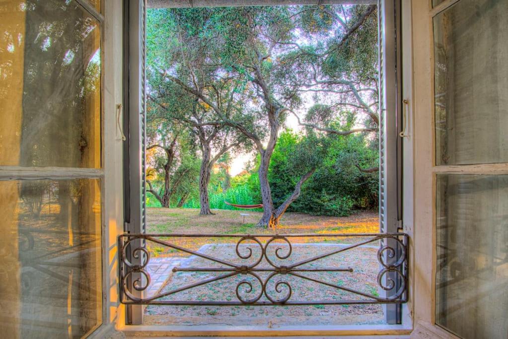 Black Olive Cottage Paramonas
