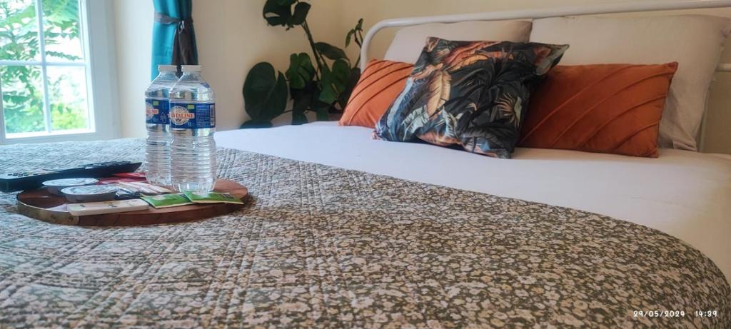 a bottle of water sitting on top of a bed at Le CocoOn Doré in Poitiers