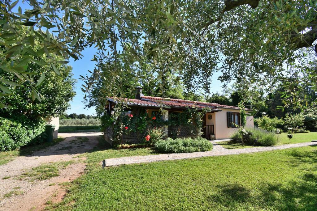 House Ariella