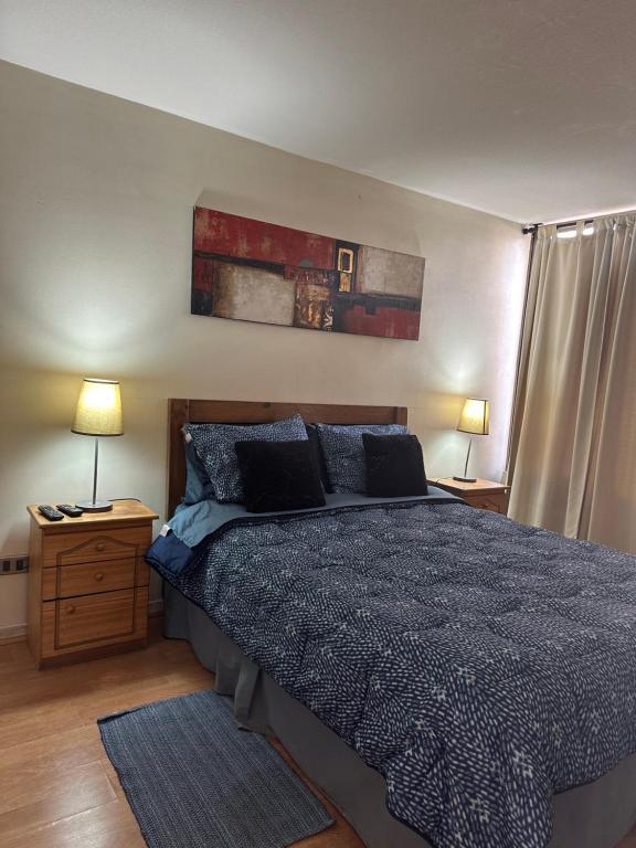 DV Apartments - 一居室公寓