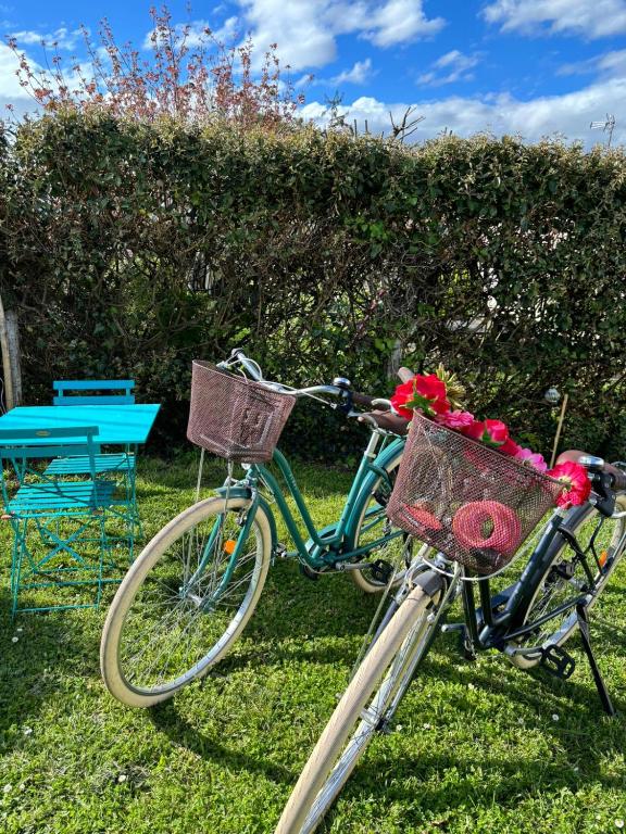 un vélo avec des fleurs dans un panier garé dans l'herbe dans l'établissement Chambre cosy chez Isabelle, à Royan