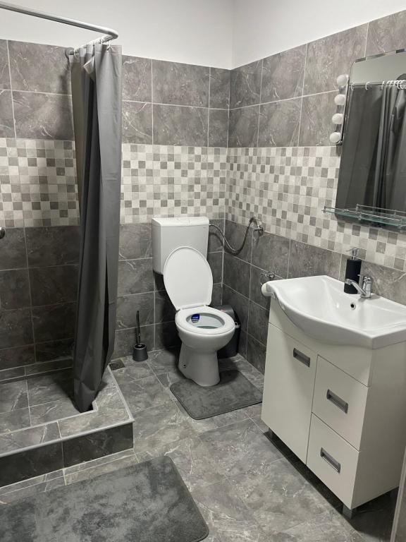 a bathroom with a toilet and a sink at Feher Akac Guest House in Palić